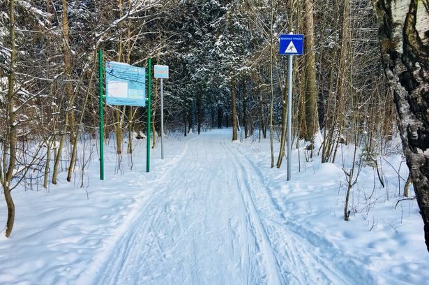 В лесопарке Матушкино открылась для посещения лыжная трасса