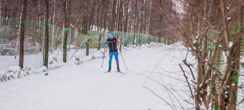 В пригородных территориях Москвы открыто 60 лыжных трасс