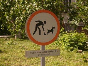 Владельцам собак в районе Матушкино напомнят о необходимости убирать за своими питомцами
