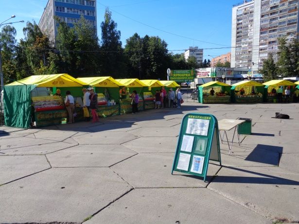 Депутаты Матушкино не нашли нарушений в организации ярмарочной торговли на площади Юности