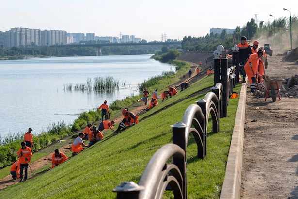 В Москве в 2017 году появится 56 новых парковых территорий