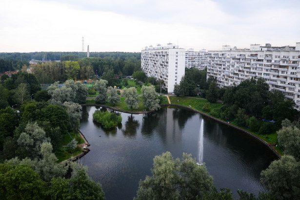 В районе Матушкино в 2024 г. планируют благоустроить зону отдыха «Быково болото»