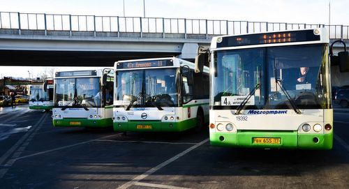 На дороги Зеленограда вышли новые автобусы