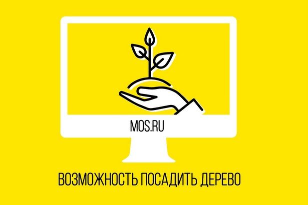 Москвичи на mos.ru могут подать заявку на посадку именного дерева в городском лесопарке