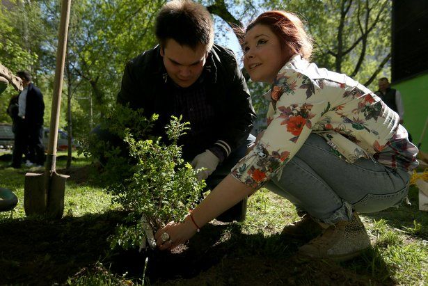 «Наше дерево»: москвичи подали более двух тысяч заявок для высадки именных саженцев