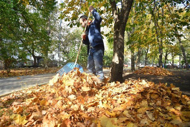 В Зеленограде в октябре проходит месячник осеннего благоустройства
