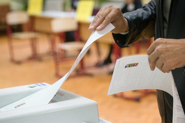 ОП Москвы направит наблюдателей на все «дачные» участки для голосования