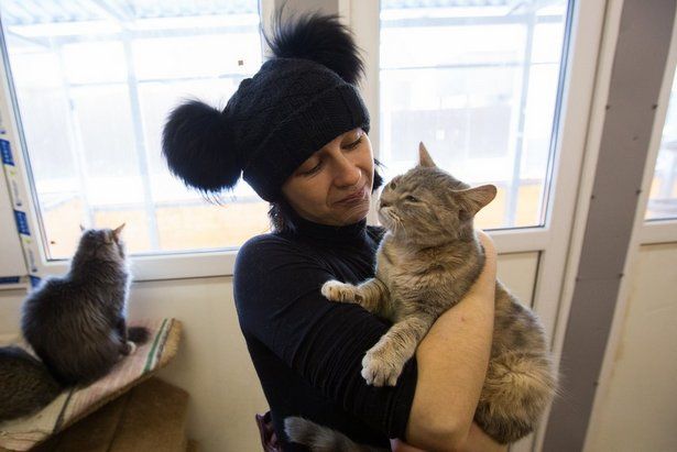 Волонтеры проекта «ЗооМонитринг» посчитают, сколько бездомных кошек в Москве