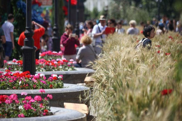 Около 6 миллионов человек посетили городской фестиваль «Цветочный джем»