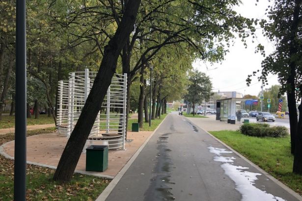 Центральный проспект в Зеленограде украсят новыми деревьями и кустарниками