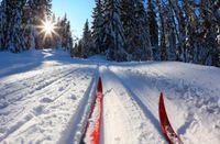 Лыжную трассу в Матушкино подготовят до 1 декабря