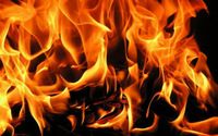 В Зеленограде отмечается рост пожаров и загораний