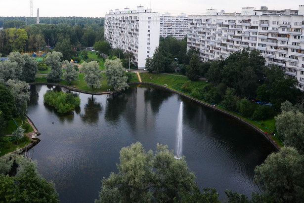 На благоустройство Быкова болота потратят почти 2,5 миллиона рублей