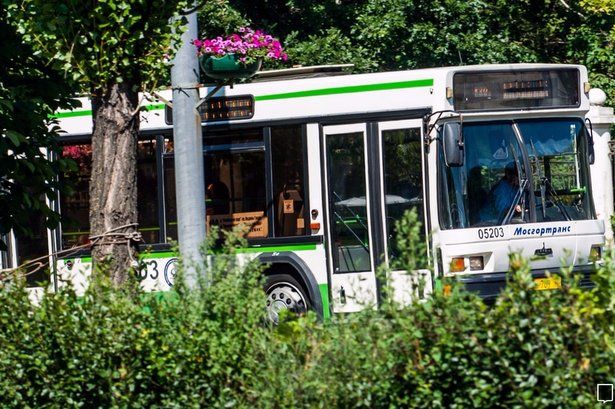 Зеленоградский автокомбинат запускает автобусные маршруты для дачников