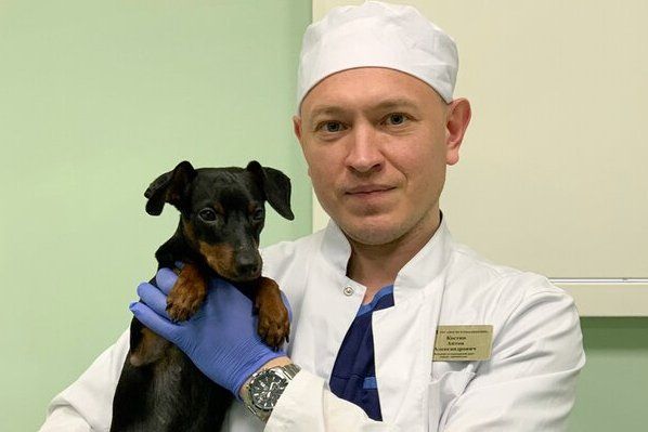 Московские курсы повышения квалификации ежегодно проходят более 500 ветеринаров