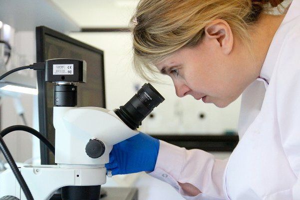 Для биофармацевтического кластера в Зеленограде подготовят около двух тысяч специалистов