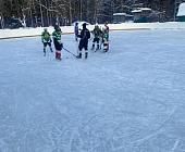20 января прошел турнир по хоккею среди Зеленоградских команд с участием активистов партии Единая Россия!