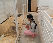 Для юных жителей Матушкино организовали экскурсию в контактный зоопарк