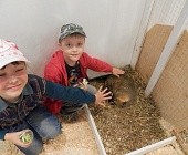 Для юных жителей Матушкино организовали экскурсию в контактный зоопарк