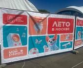В Матушкино будет одна из трех зеленоградских площадок проекта «Лето в Москве»