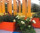Ландшафтный сад на площади Юности в Зеленограде расцветает новыми красками