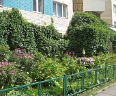 В Матушкино определили самые нарядные дворовые цветники