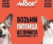 Более 200 приютских животных выставят на фестивале WOOF для передачи в семьи