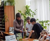 Библиотека в Матушкино проводит интересные мероприятия для ребят из городских лагерей