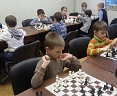 В Матушкино прошел турнир начинающих зеленоградских шахматистов